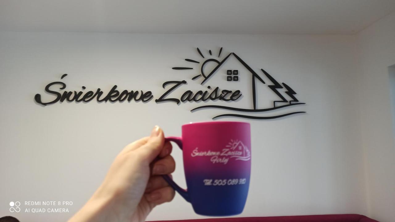 Swierkowe Zacisze Hotel Фірлей Екстер'єр фото