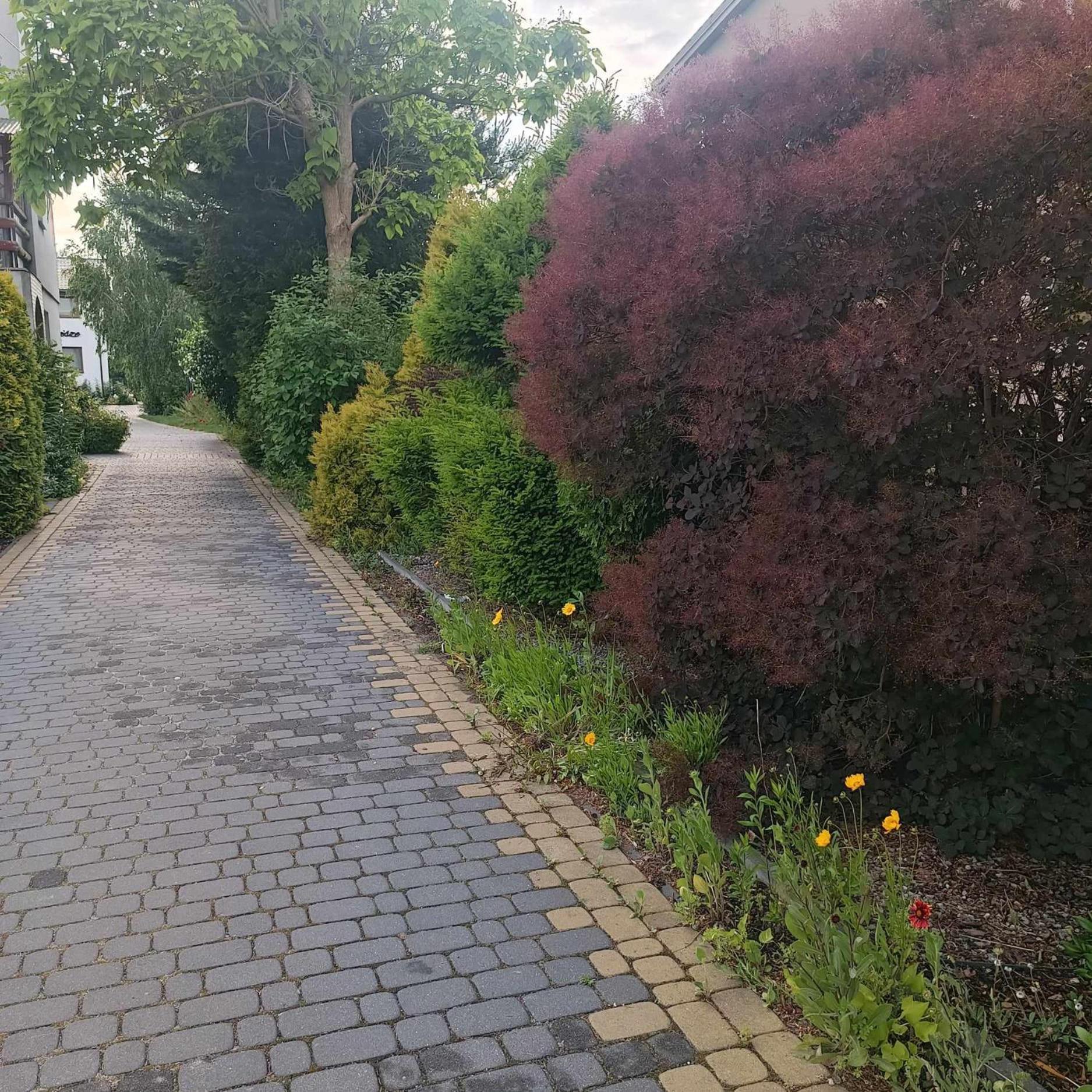 Swierkowe Zacisze Hotel Фірлей Екстер'єр фото